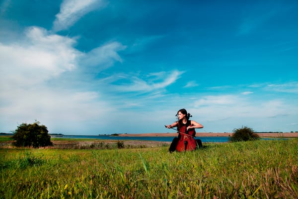 Rügen, Festspiele MV 2024 -"Inselmusik", IOCO Aktuell